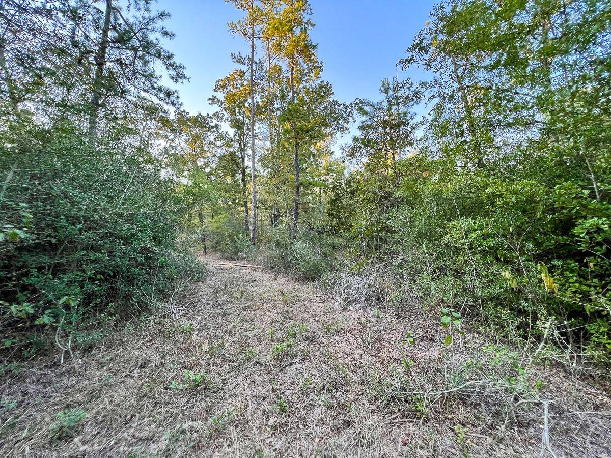 Huntsville, TX 77320,00 Pinedale Road