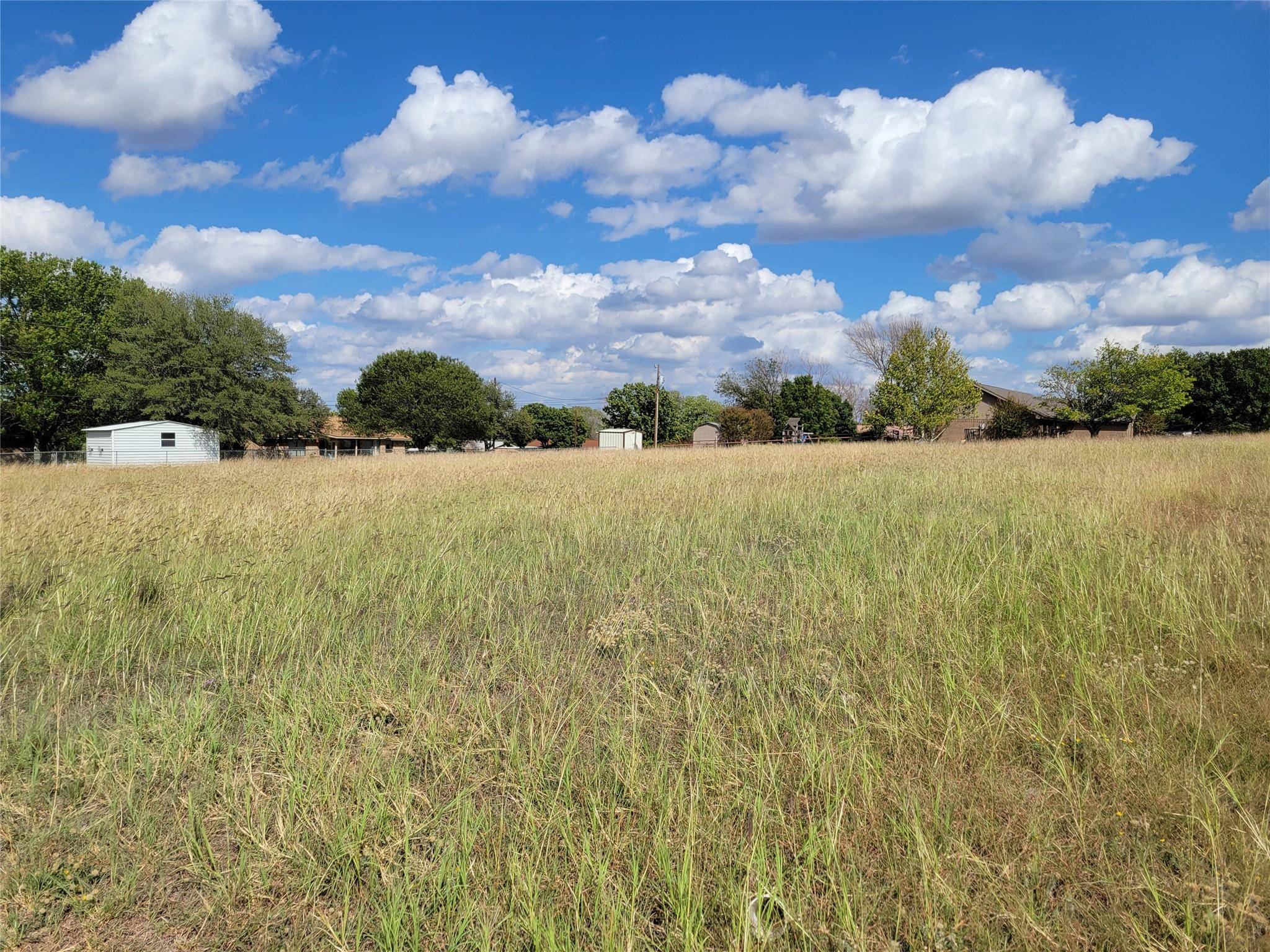 Comanche, TX 76442,TBD E Cedar Avenue