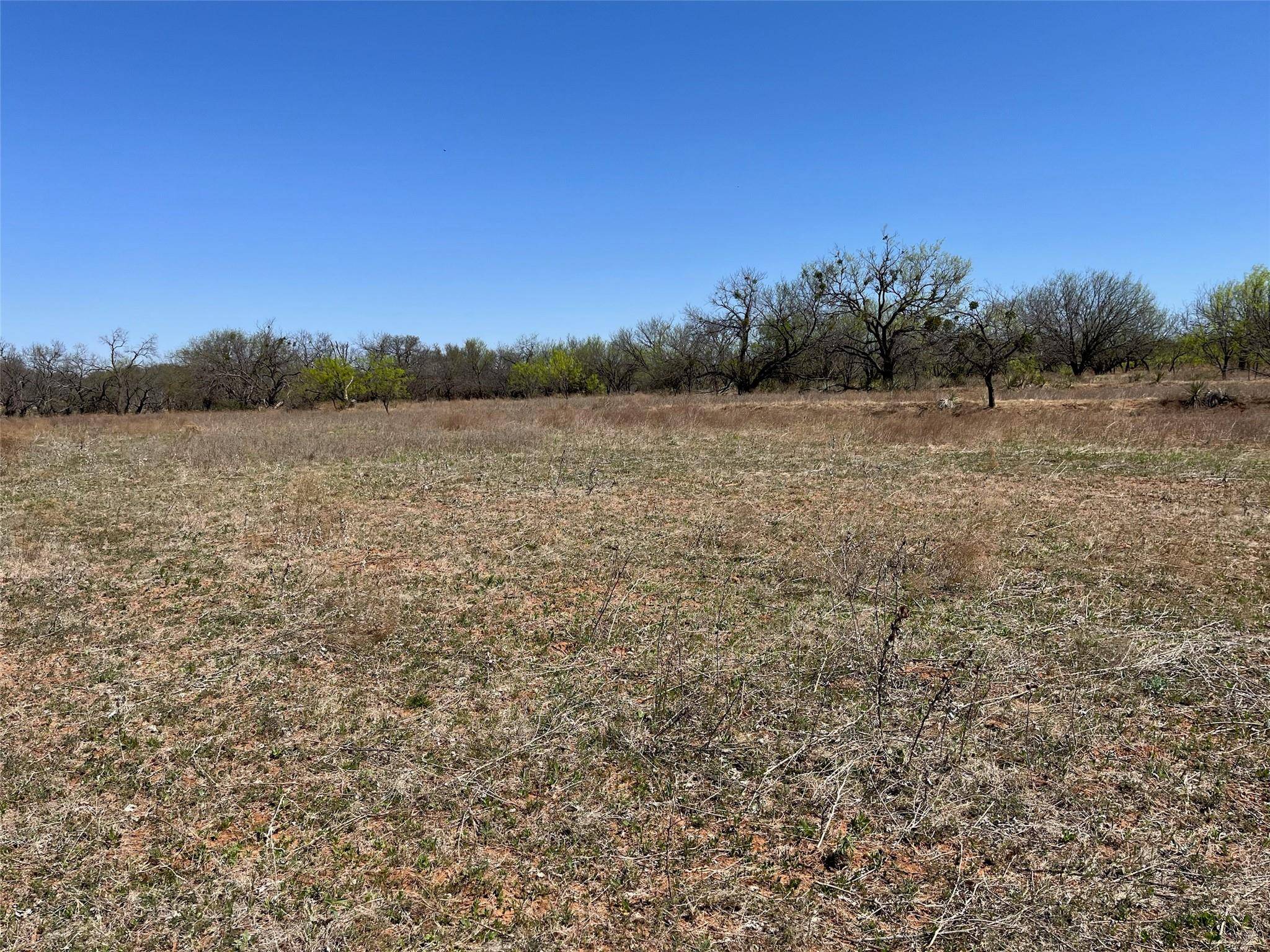 Cross Plains, TX 76443,Tract 5 FM 2287