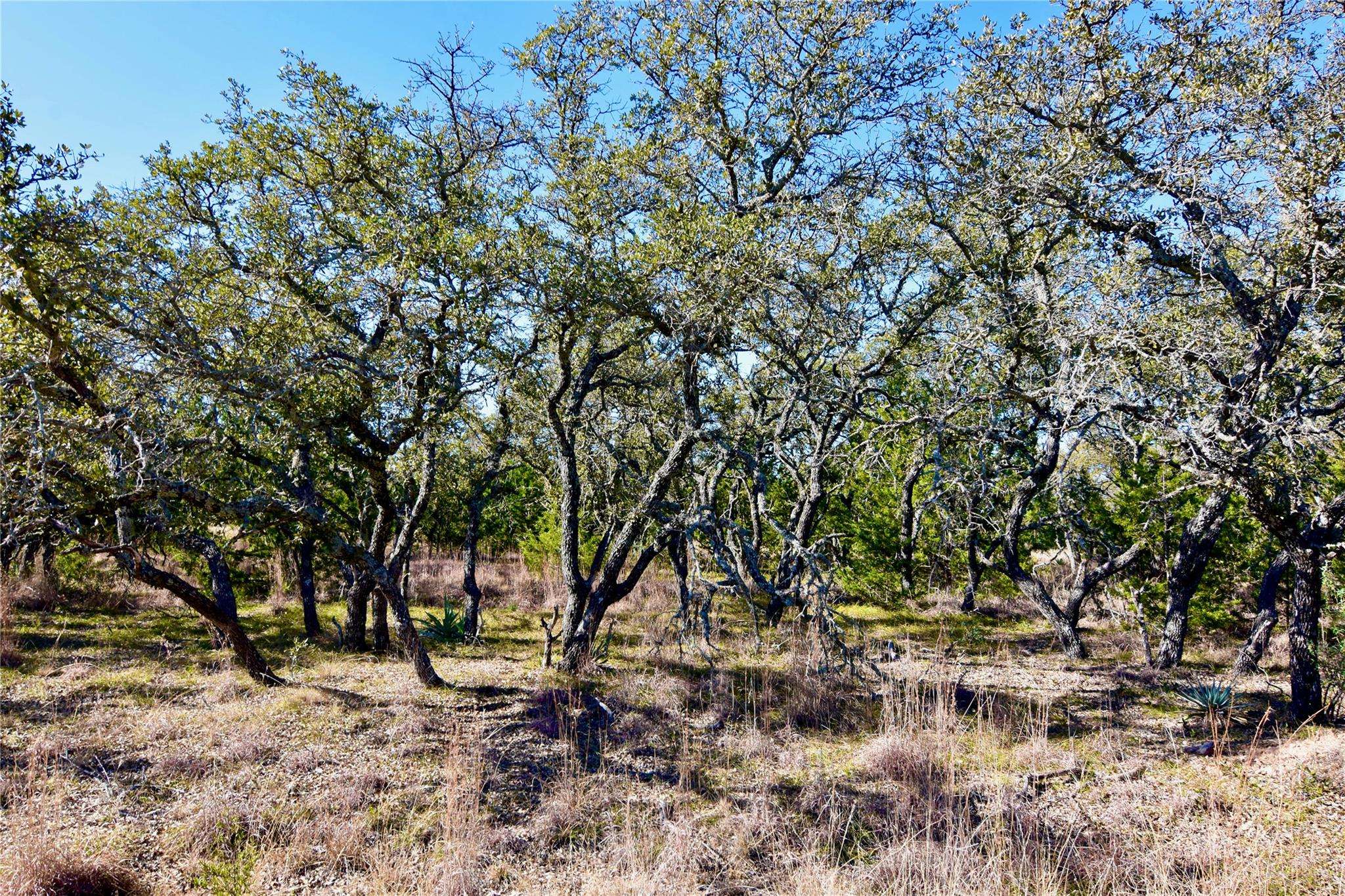 Zephyr, TX 76890,26.2 Acres County Road 261