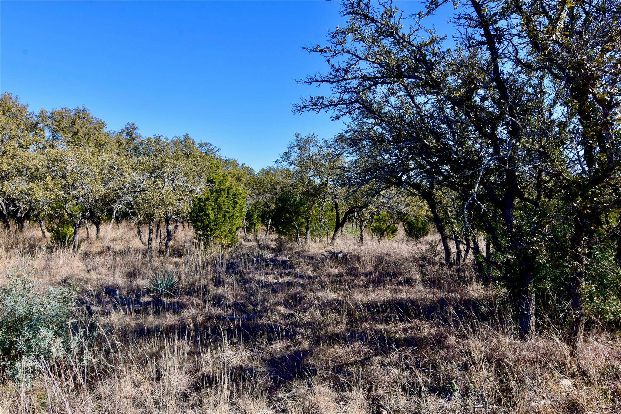 Zephyr, TX 76890,26.2 Acres County Road 261