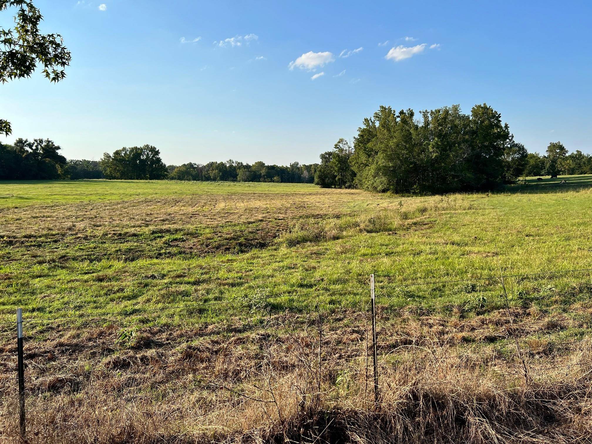 Canton, TX 75103,TBD VZ County Road 2219