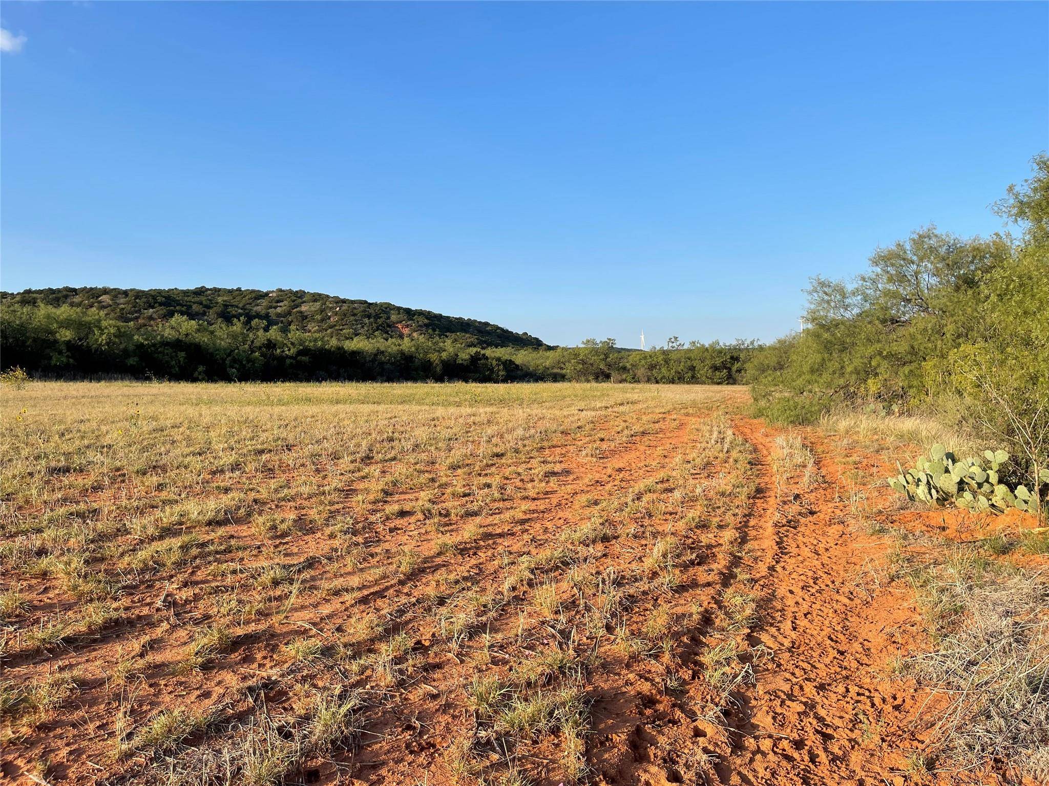 Merkel, TX 79536,TBD County Rd 387