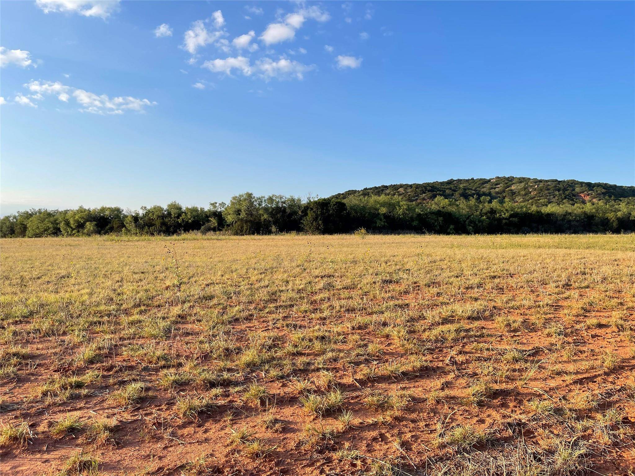 Merkel, TX 79536,TBD County Rd 387