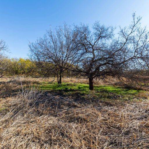 Sagerton, TX 79548,0 CR 463