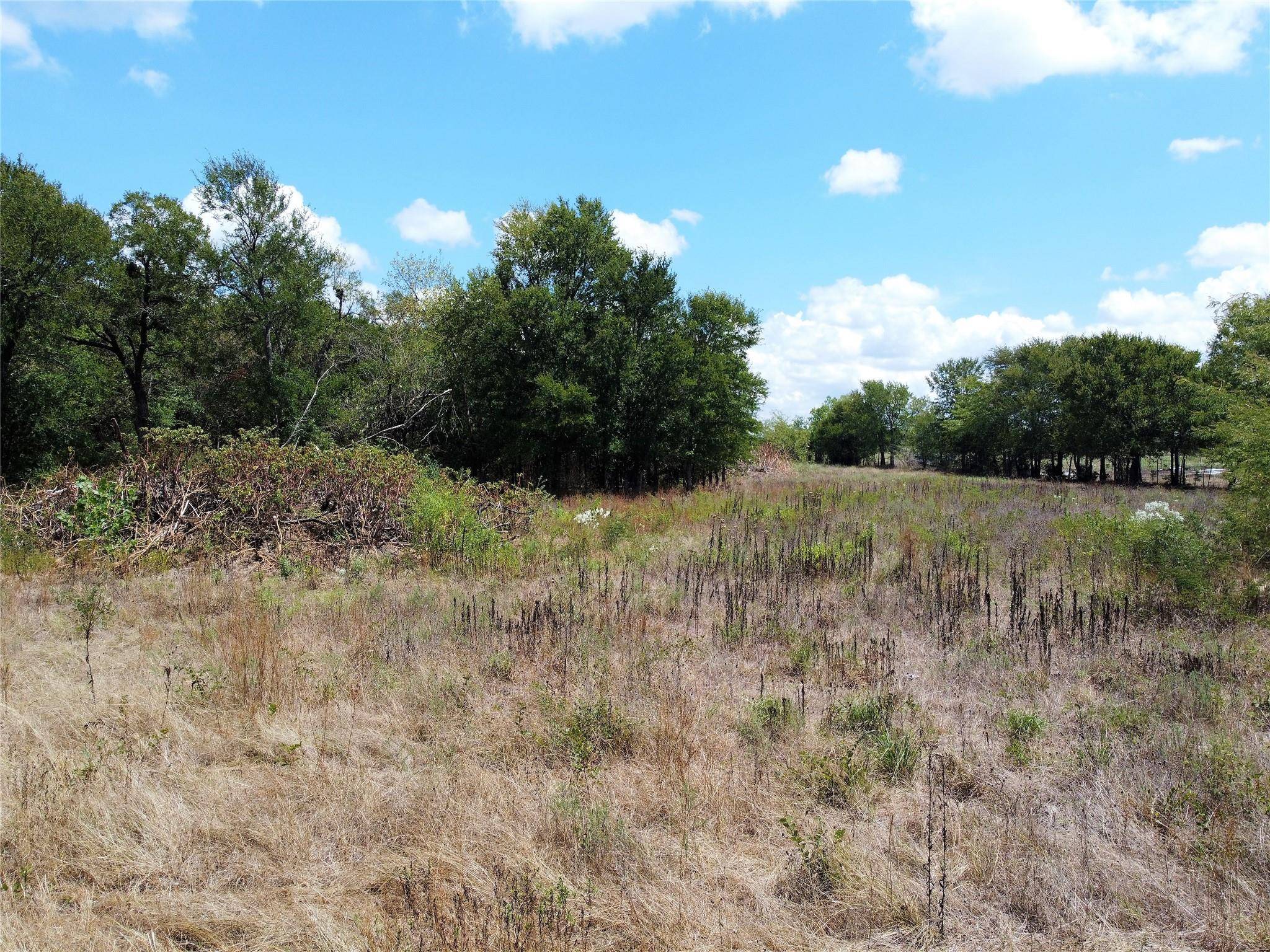 Commerce, TX 75428,Lot 11 CR 4309