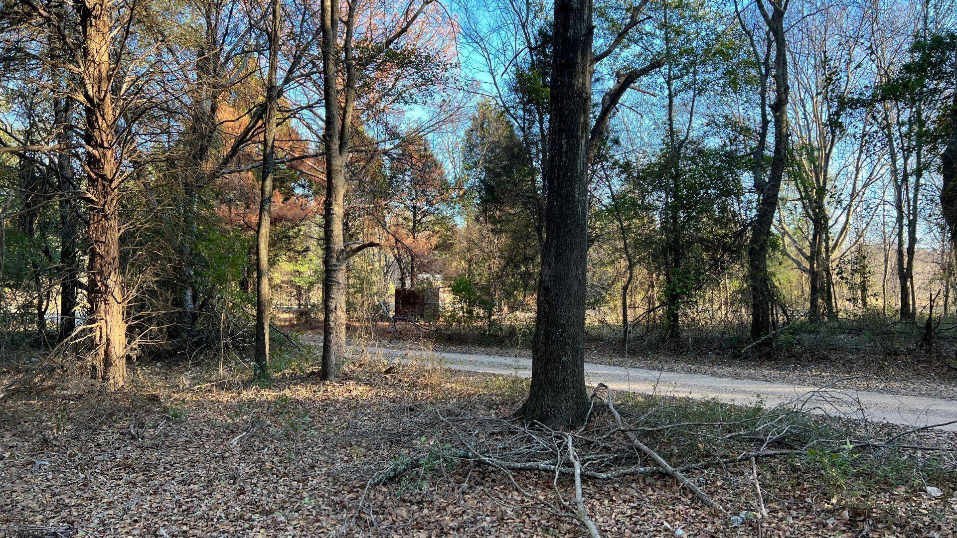 Payne Springs, TX 75156,Lot 1 Po' Pines Road