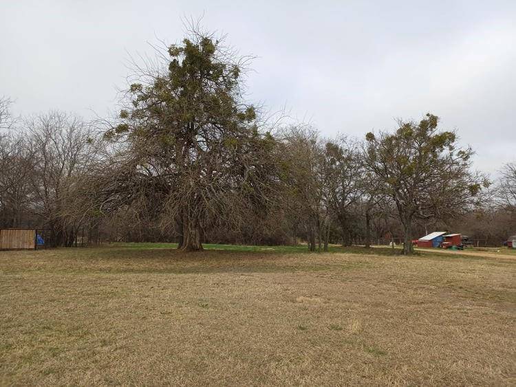 Springtown, TX 76082,Lot 8 block 8 Westover Ln