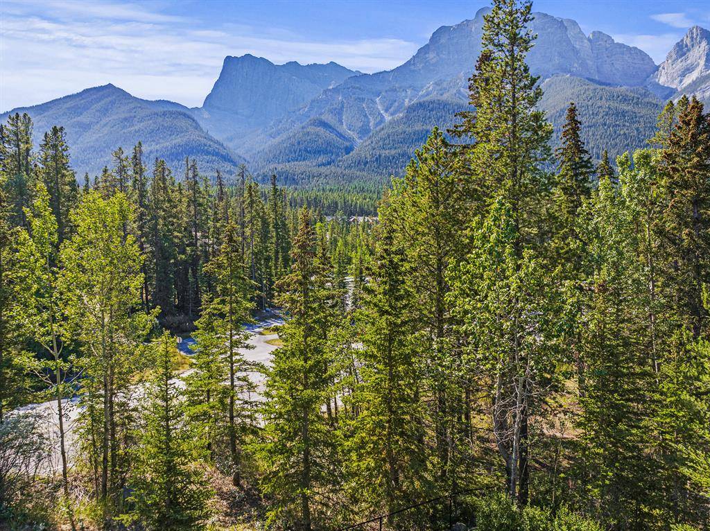 Canmore, AB T1W 2X1,10 Walker #125