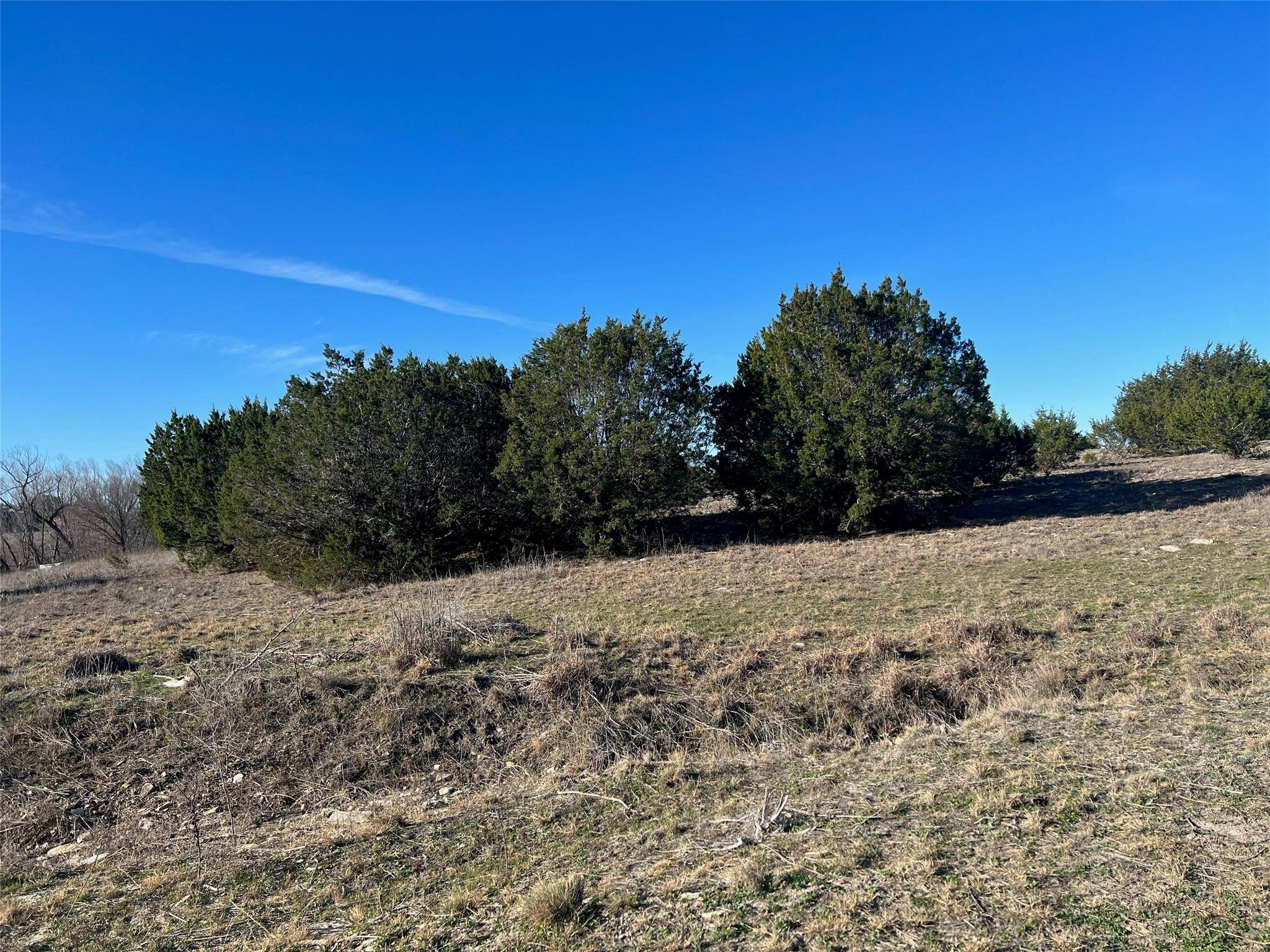 Hico, TX 76457,LOT #33 Honey Creek Crossing Crossing