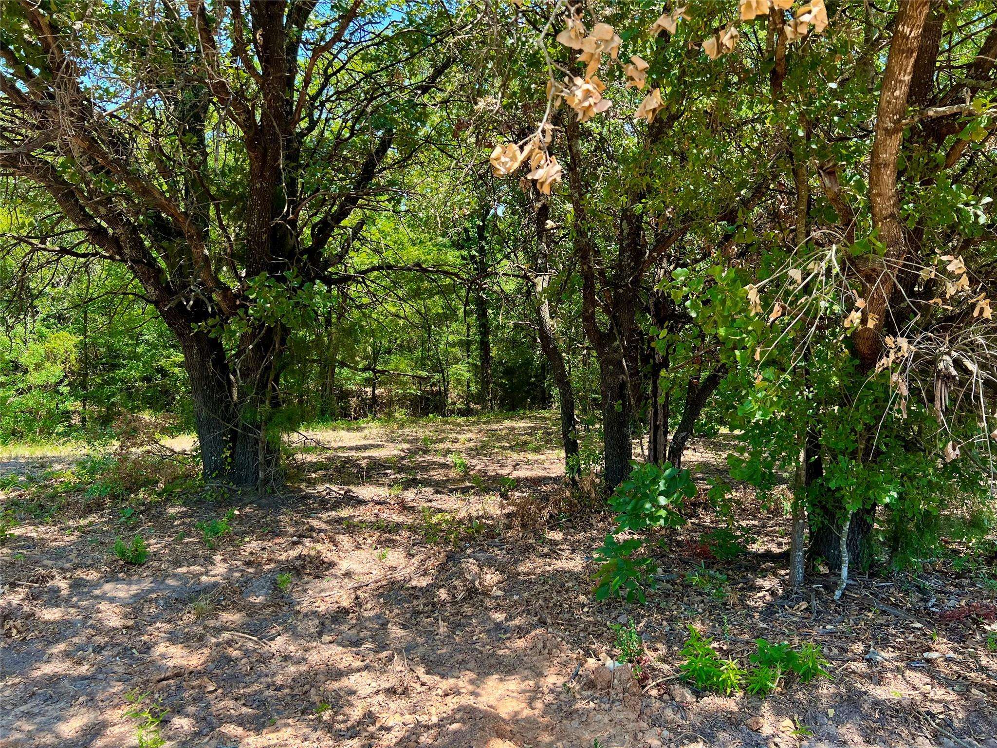 Gun Barrel City, TX 75156,Lot 67R Driftwood Lane