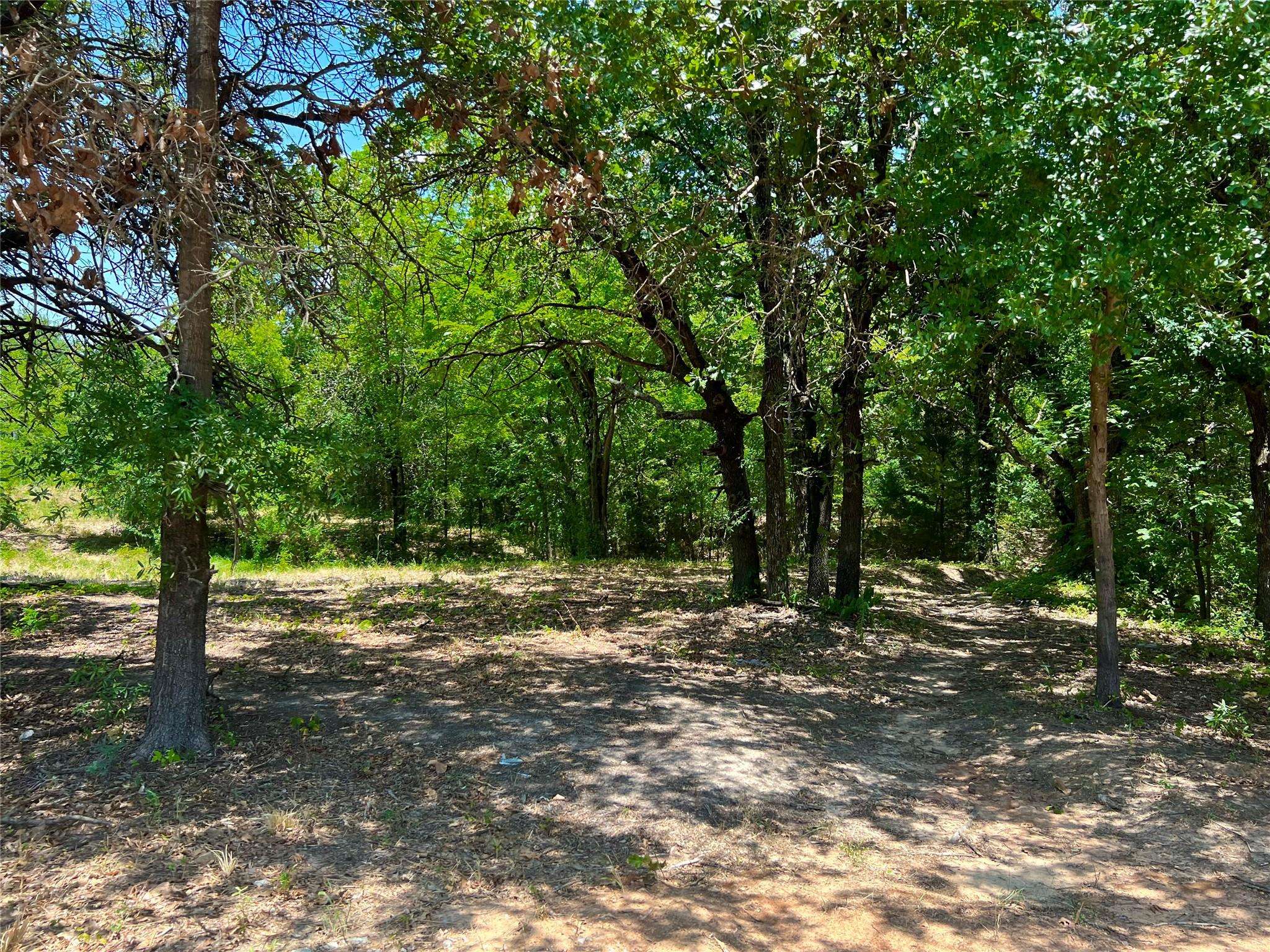 Gun Barrel City, TX 75156,Lot 67R Driftwood Lane