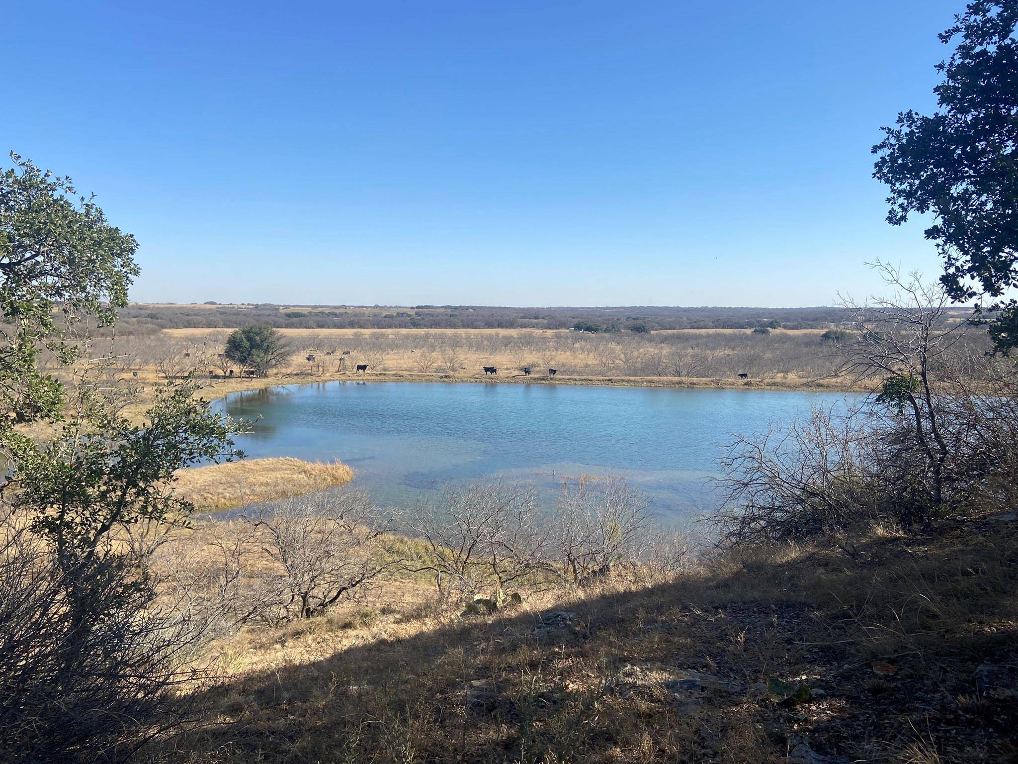 Comanche, TX 76442,TBD County Rd 185