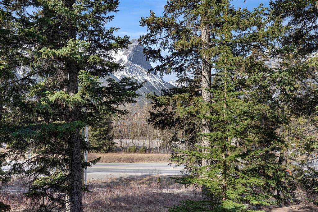 Canmore, AB T1W3E2,101 Montane RD S #207