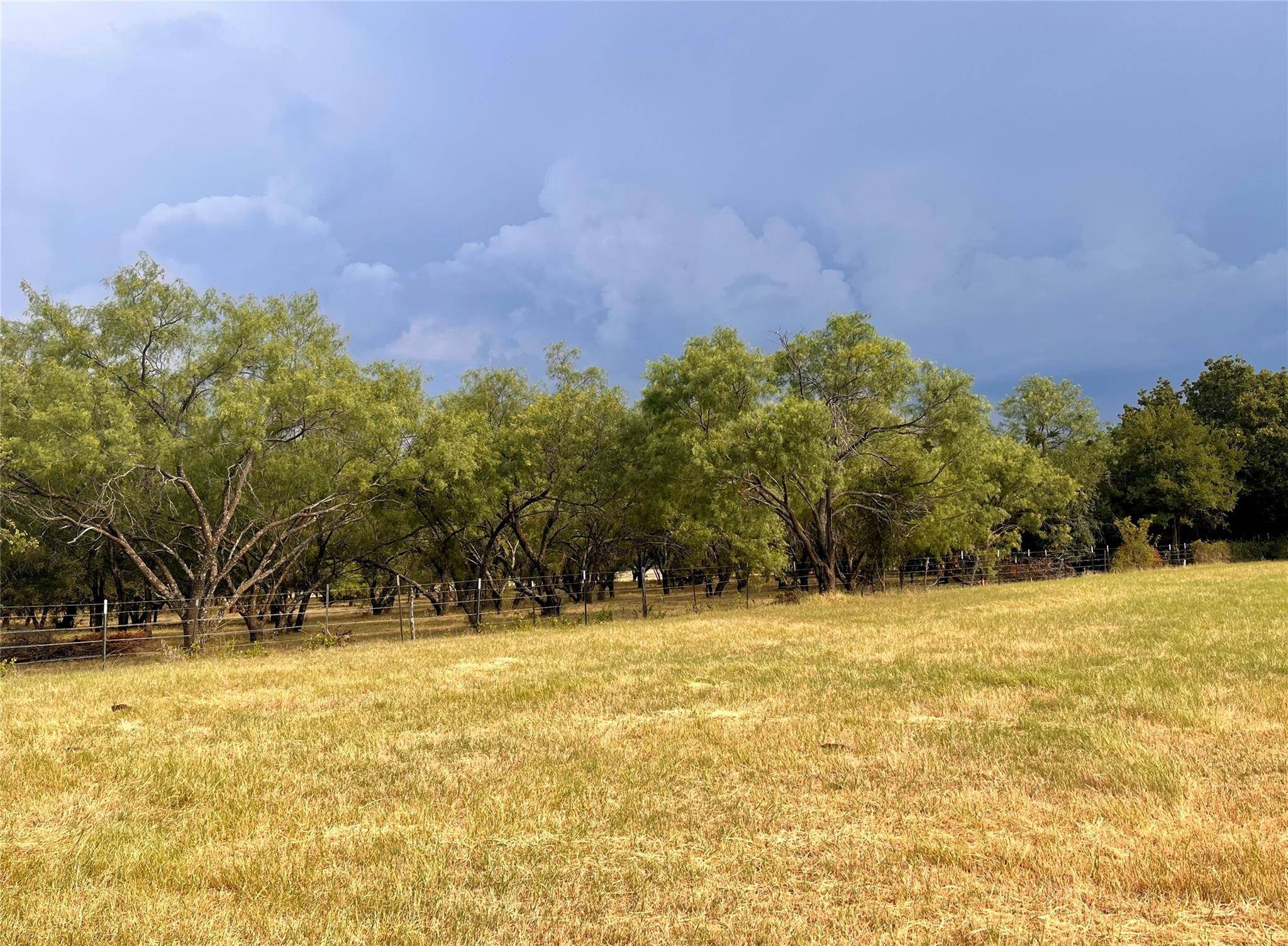 Mineral Wells, TX 76067,TBD Withers Road