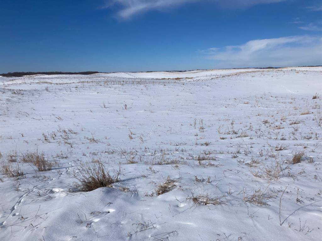 Rural Camrose County, AB T0B 0H0,TWP 424 RR210