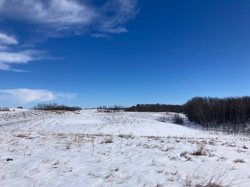 Rural Camrose County, AB T0B 0H0,TWP 424 RR210