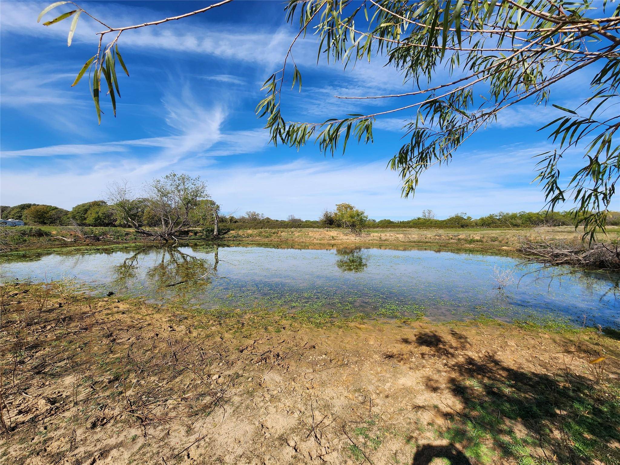 Rising Star, TX 76471,1000 Co Road 375