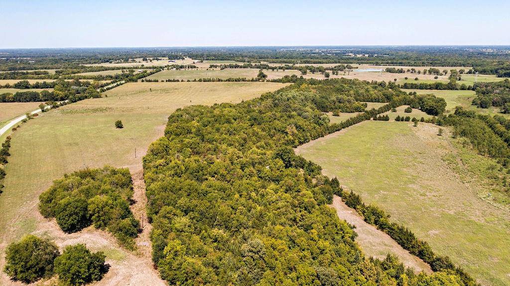 Pattonville, TX 75468,0000 Farm Road 905