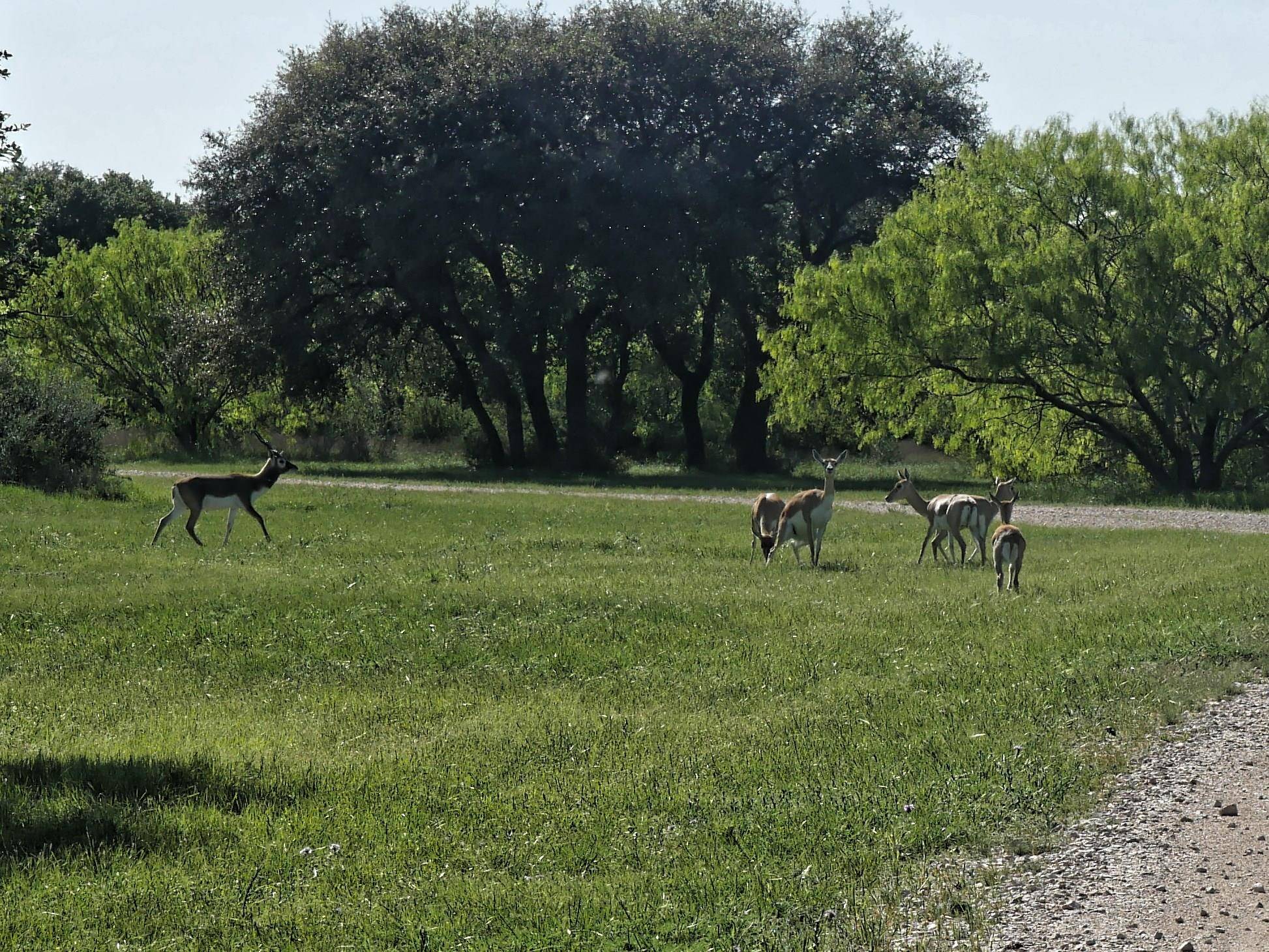 Brady, TX 76825,530 PR 690