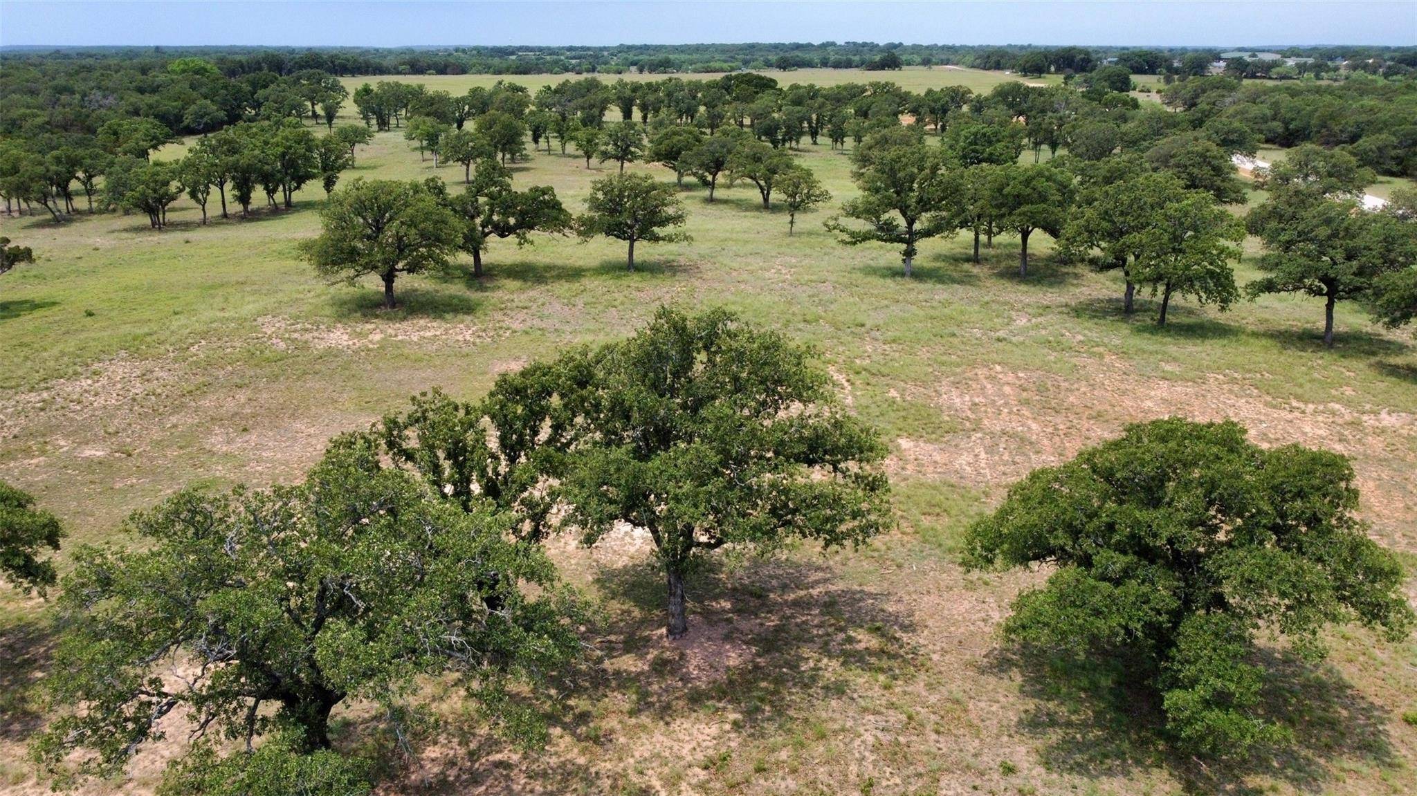 Mineral Wells, TX 76067,1031 Drover's Trail