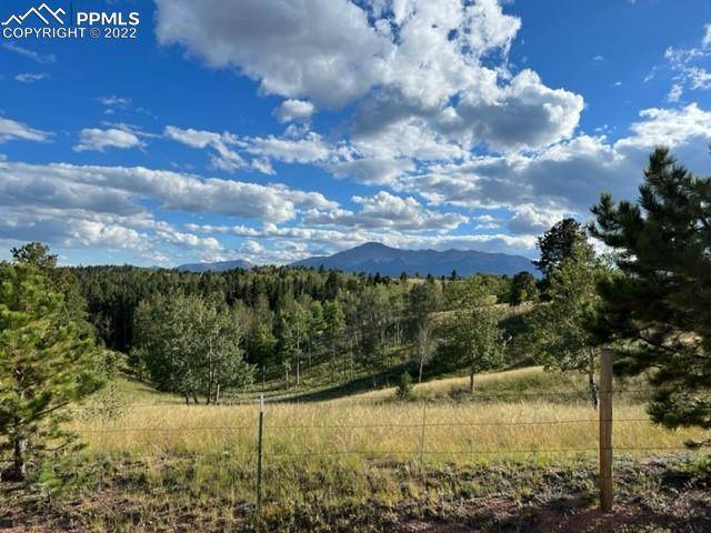 Woodland Park, CO 80863,Schubarth TRL