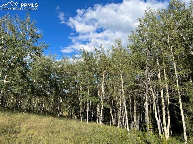 Woodland Park, CO 80863,Schubarth TRL