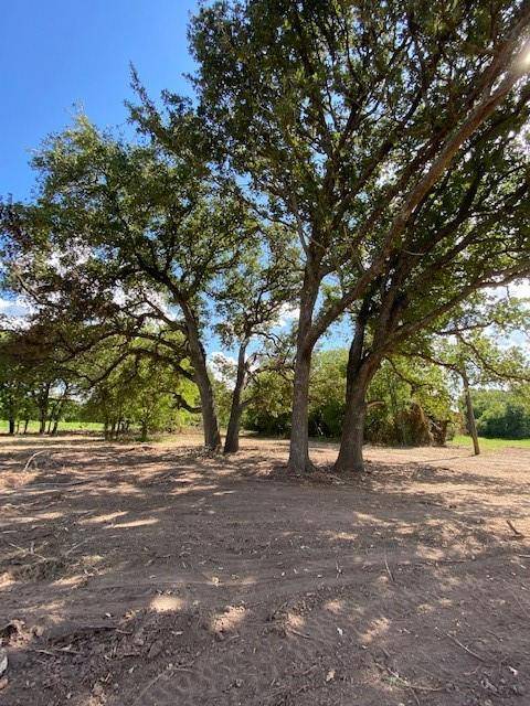 Bonham, TX 75418,1231 CR 4130