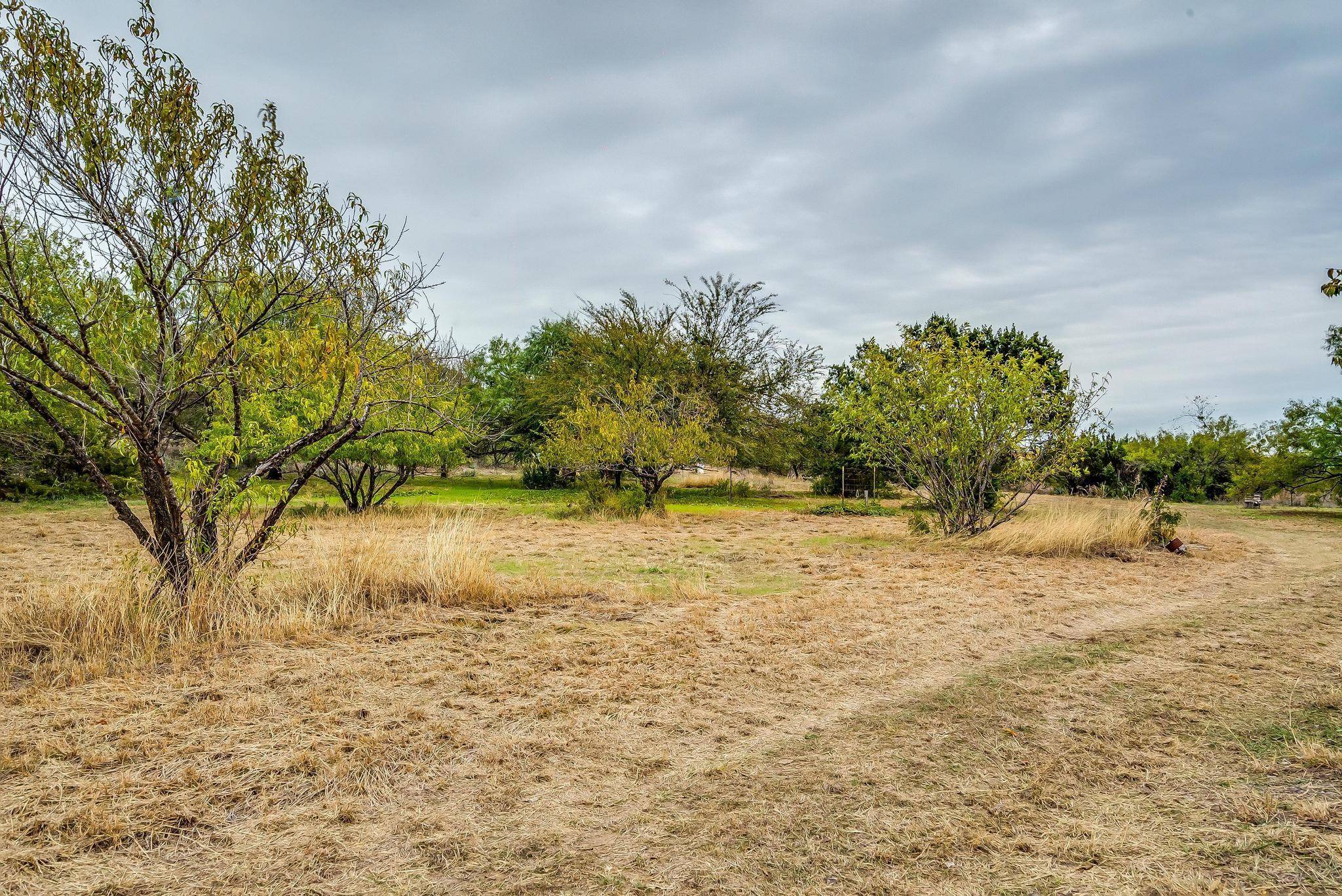 Lipan, TX 76462,7302 Star Hollow Road