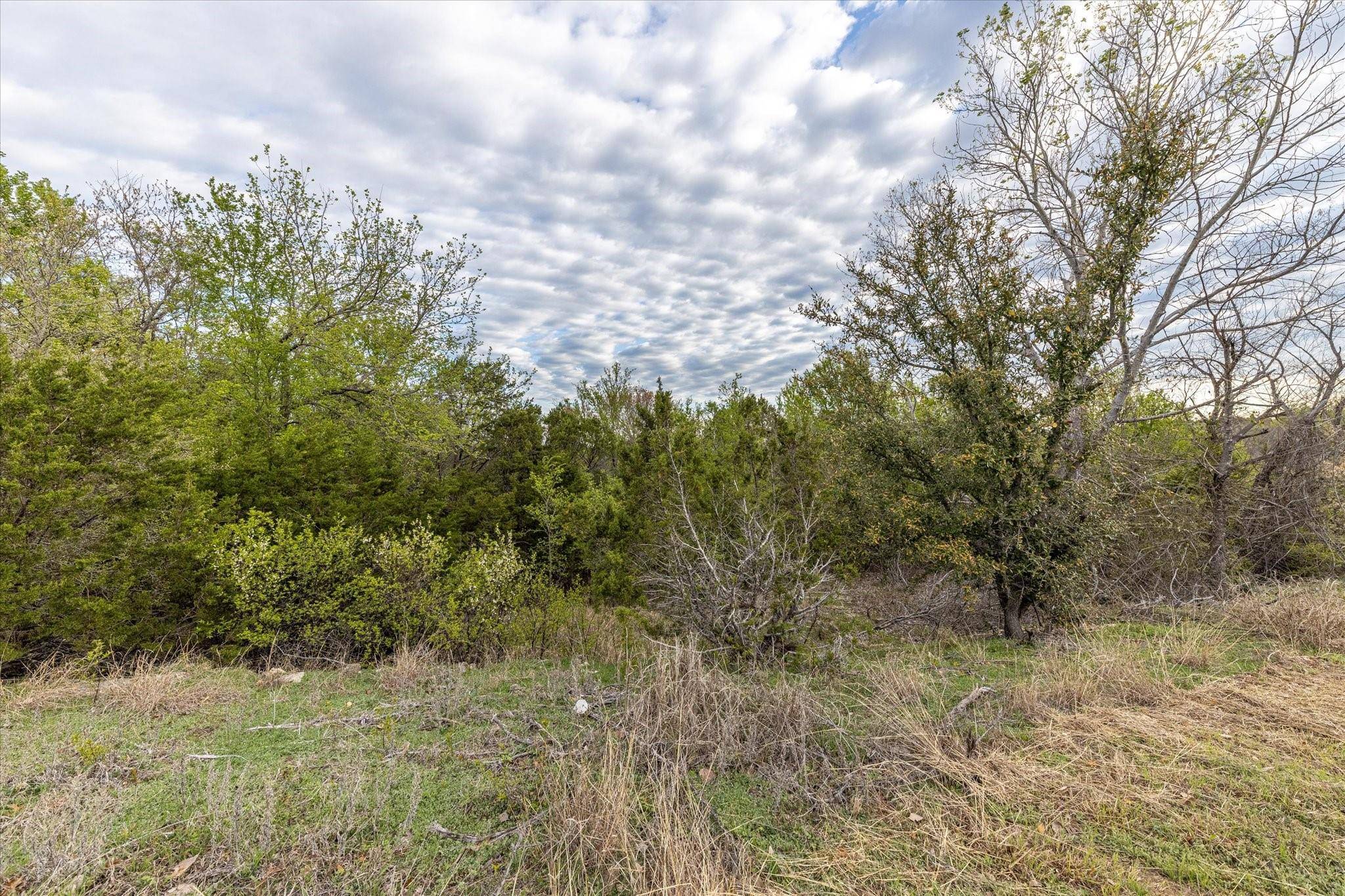 Bluff Dale, TX 76433,Lot 1047 Ridgeway Drive