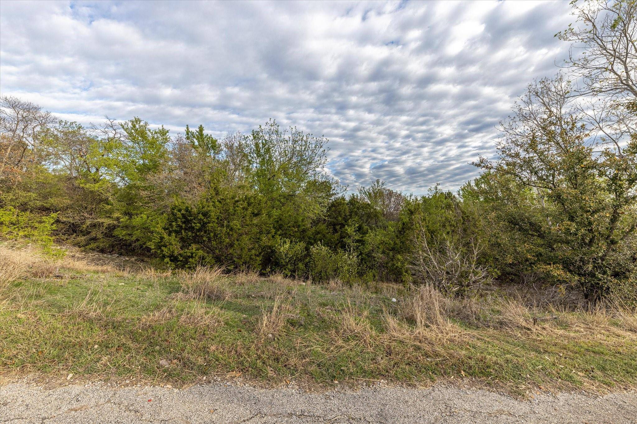 Bluff Dale, TX 76433,Lot 1047 Ridgeway Drive