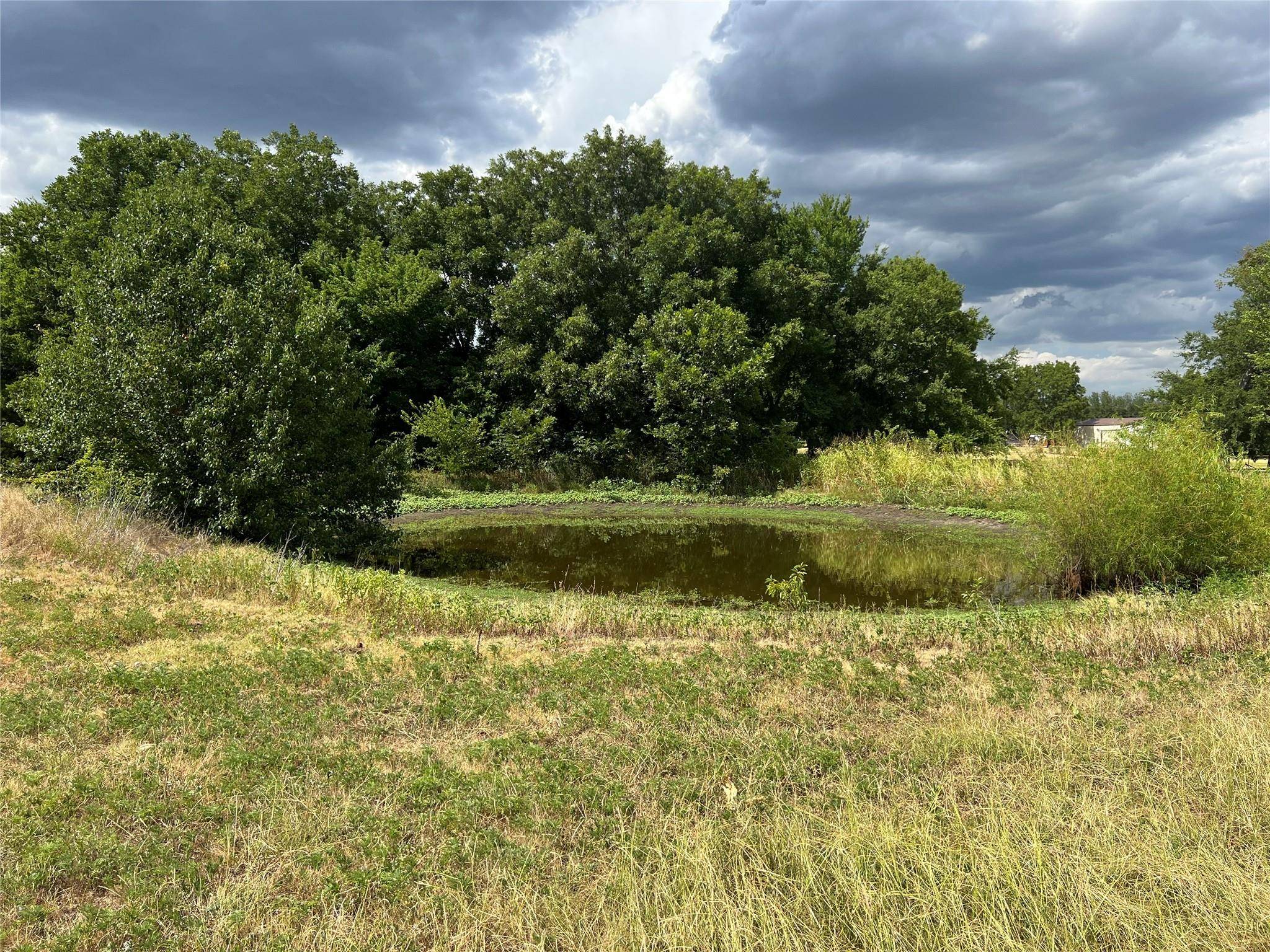 Ector, TX 75439,TBD S Main Street