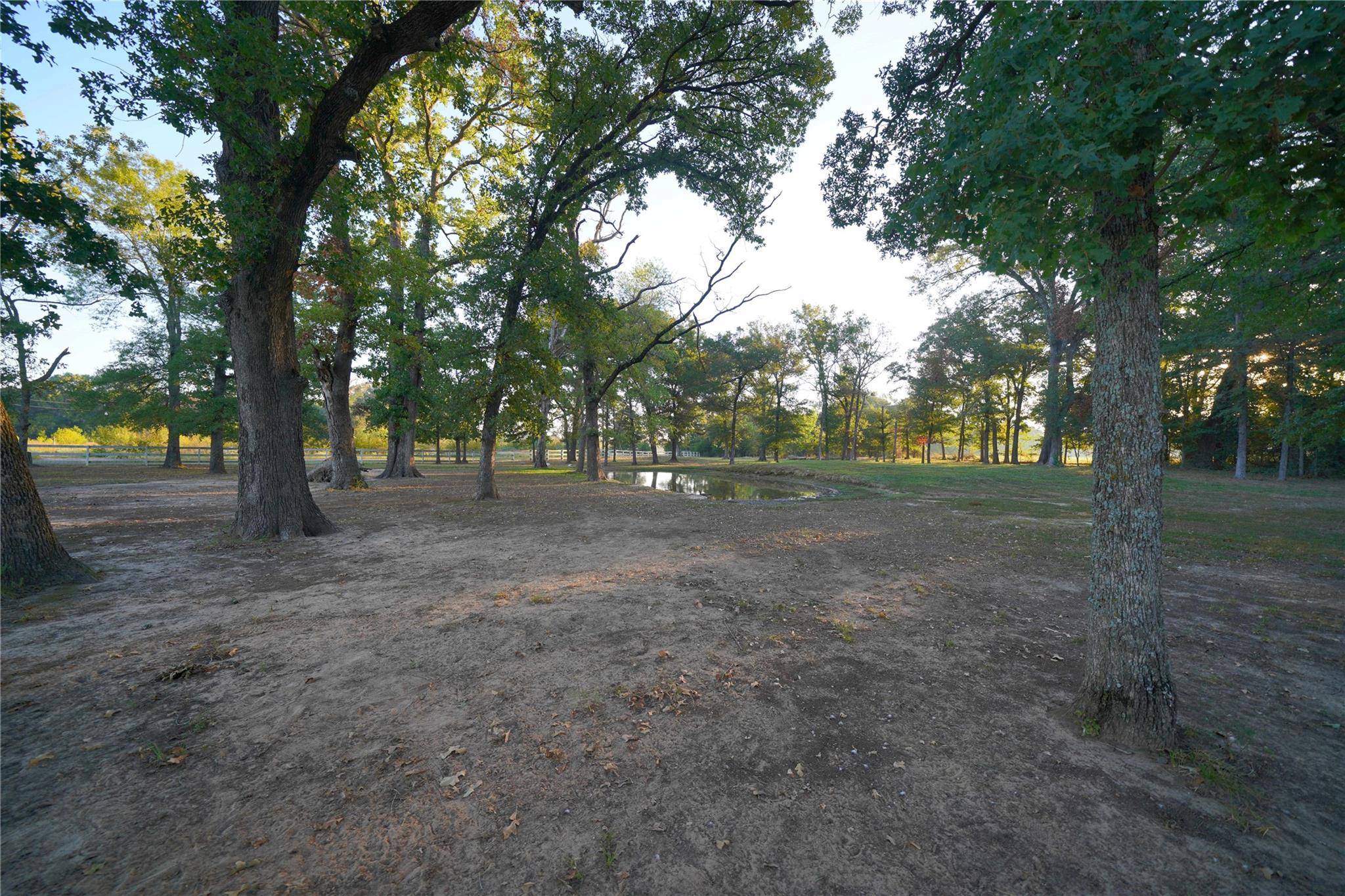 Athens, TX 75752,980 CR 3800