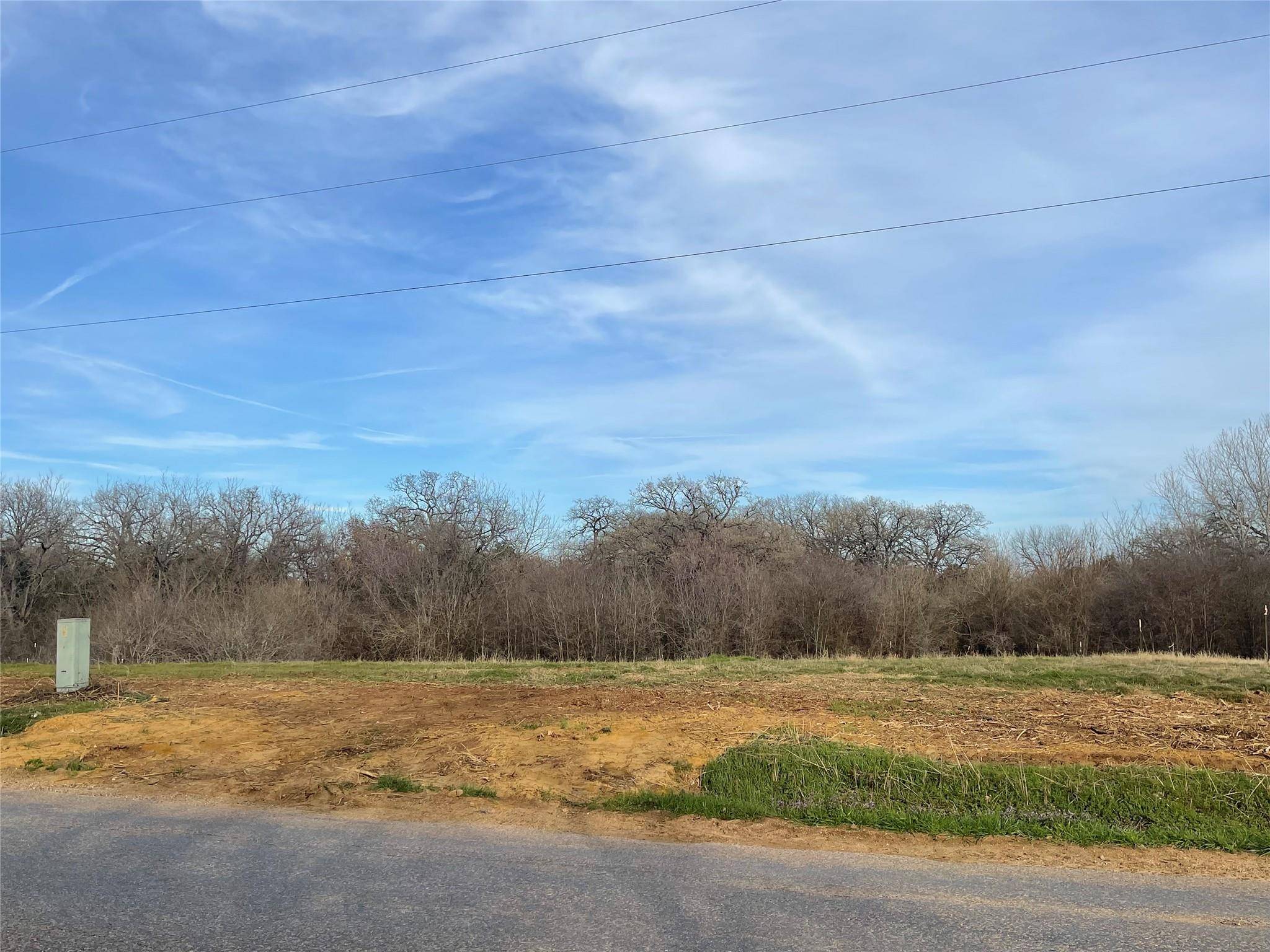 Alvarado, TX 76009,TBD Lot 2R CR 405