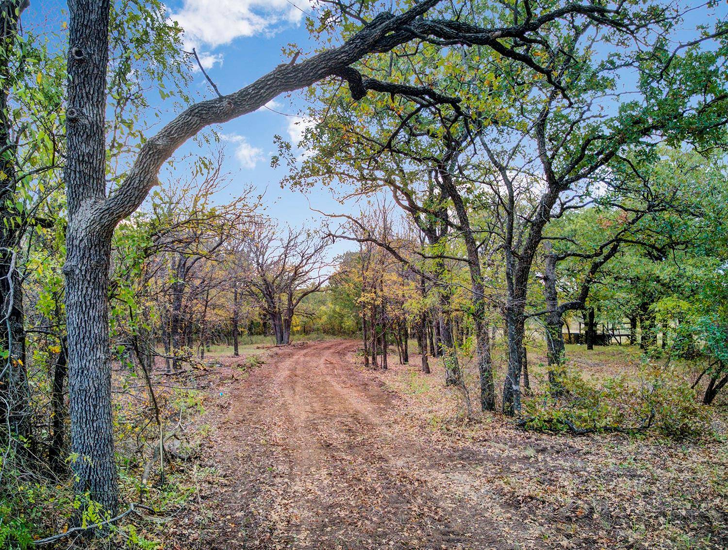 Paradise, TX 76073,TBD County Rd 3451