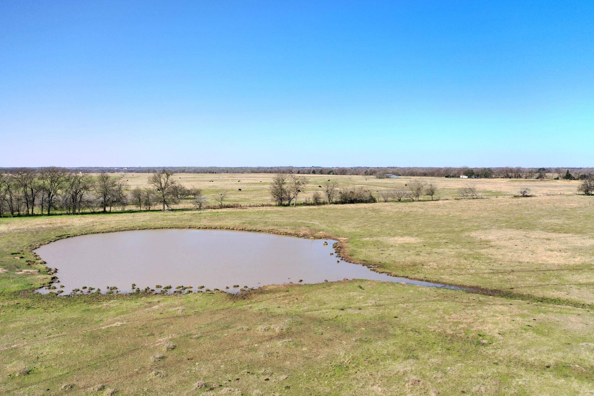 Kosse, TX 76653,TBD FM 2745 / County Road 249