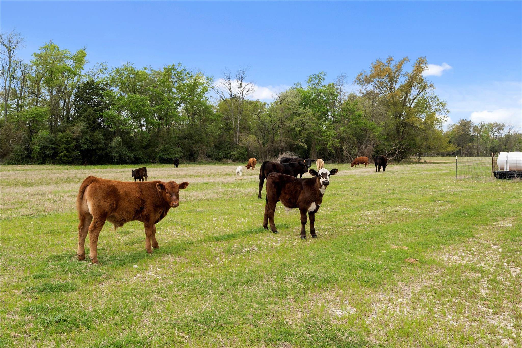 Teague, TX 75860,TBD County Rd 741