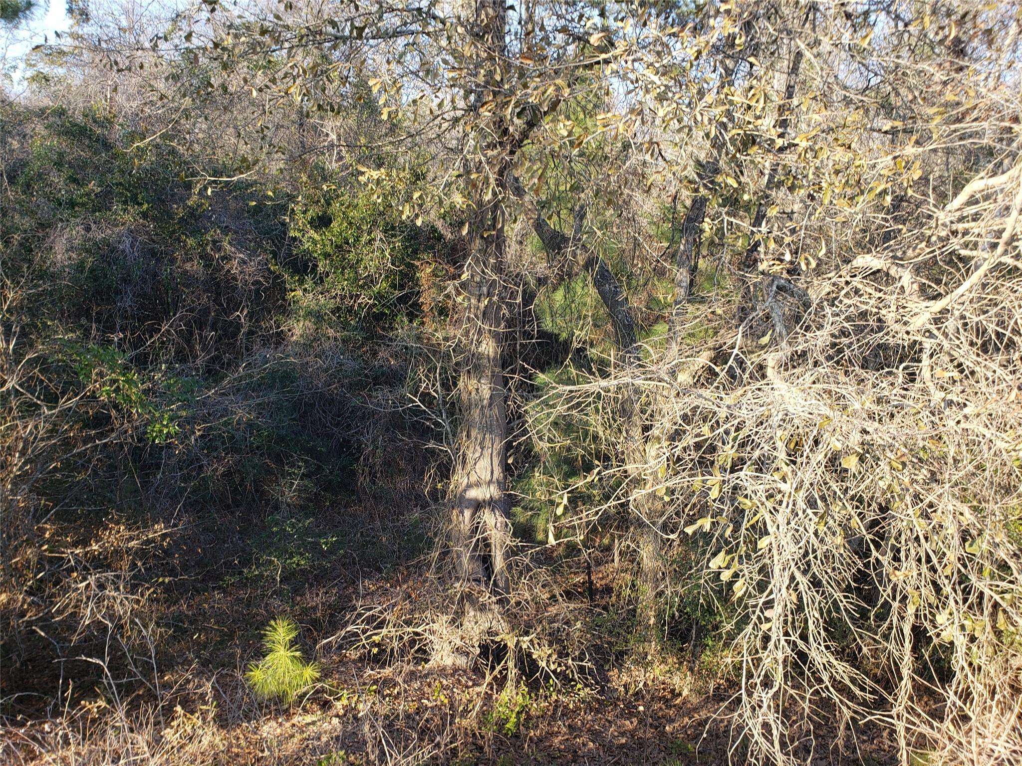 Cleveland, TX 77327,TBD Off Of County Road 345