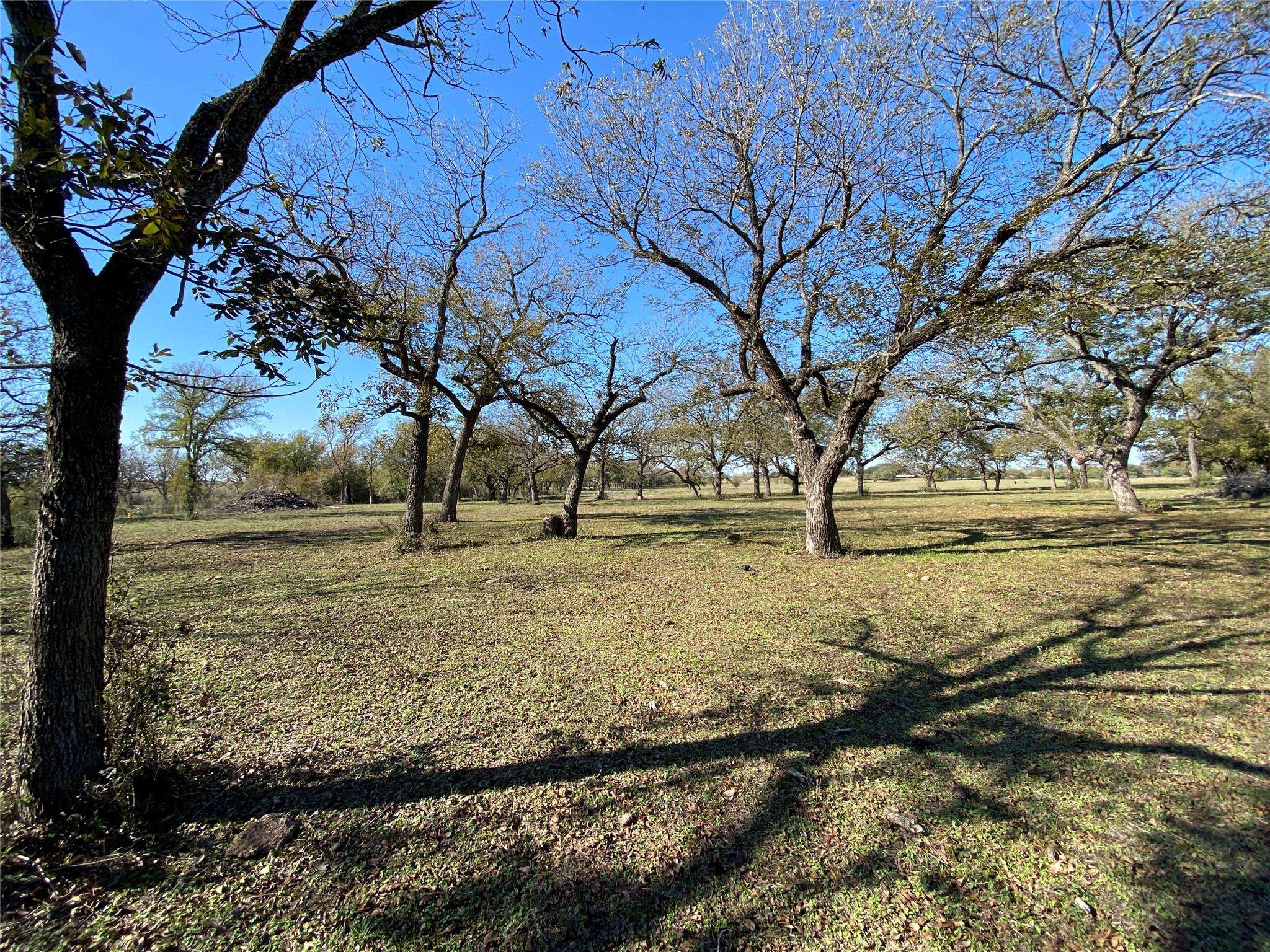 Carlton, TX 76436,950 County Road 392