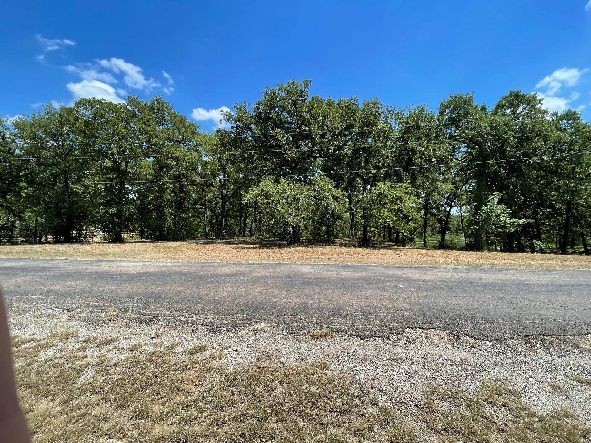 Streetman, TX 75859,Lot 39 Pelican Point