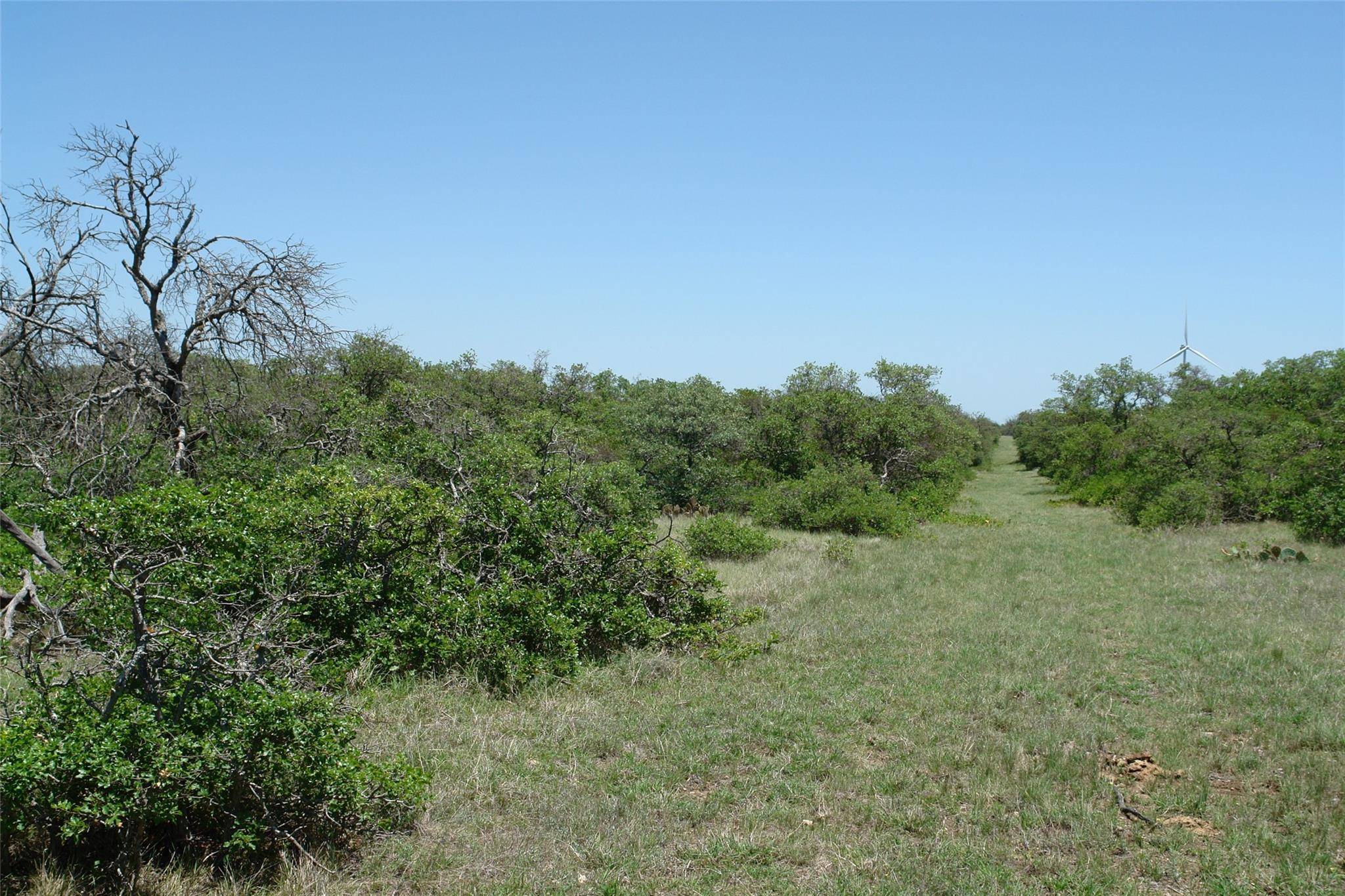 Goldthwaite, TX 76844,0000 PR 135