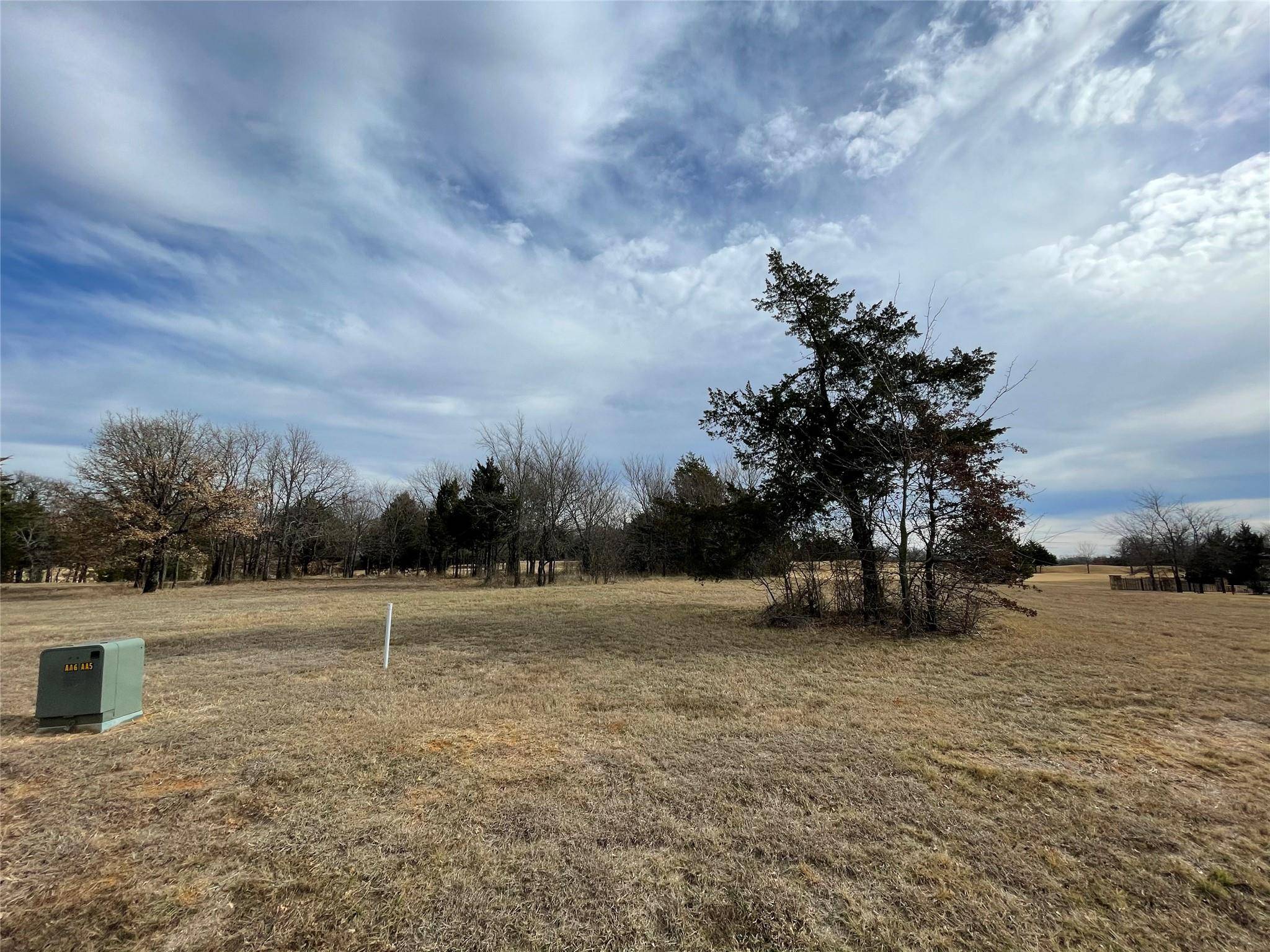 Gordonville, TX 76245,216 Roaring Fork Circle