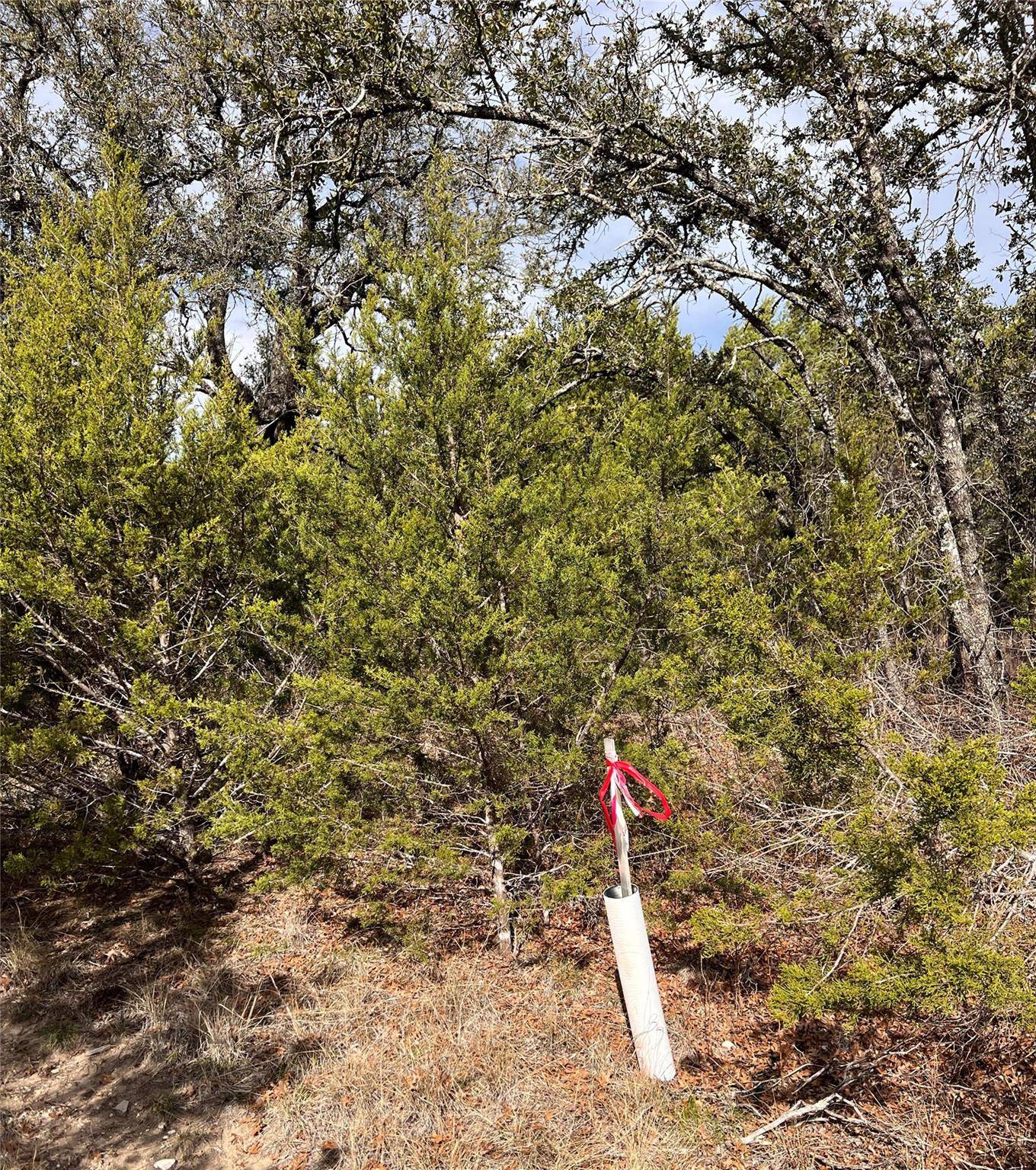 Bluff Dale, TX 76433,TBD Hidden LK Road