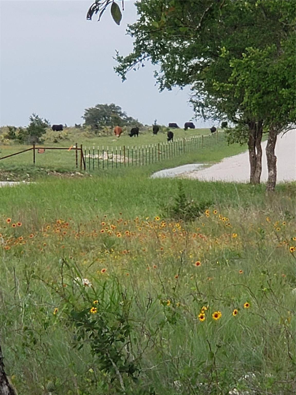 Lometa, TX 76853,Lot 30 Shooting Star Ranch