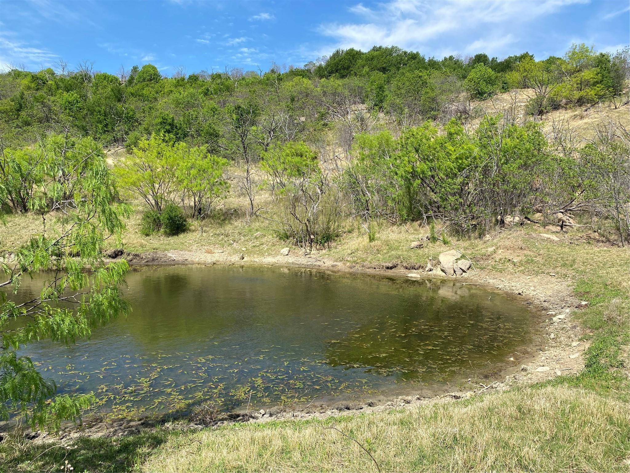 Strawn, TX 76475,215 ac Hyw 180 upper Brad Road