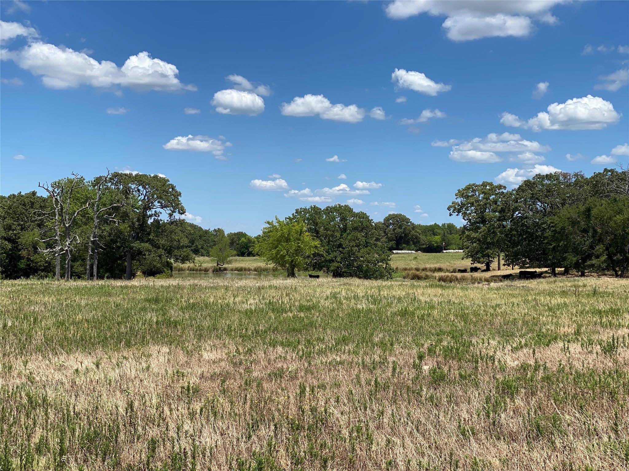 Grand Saline, TX 75140,TBD VZCR 1507