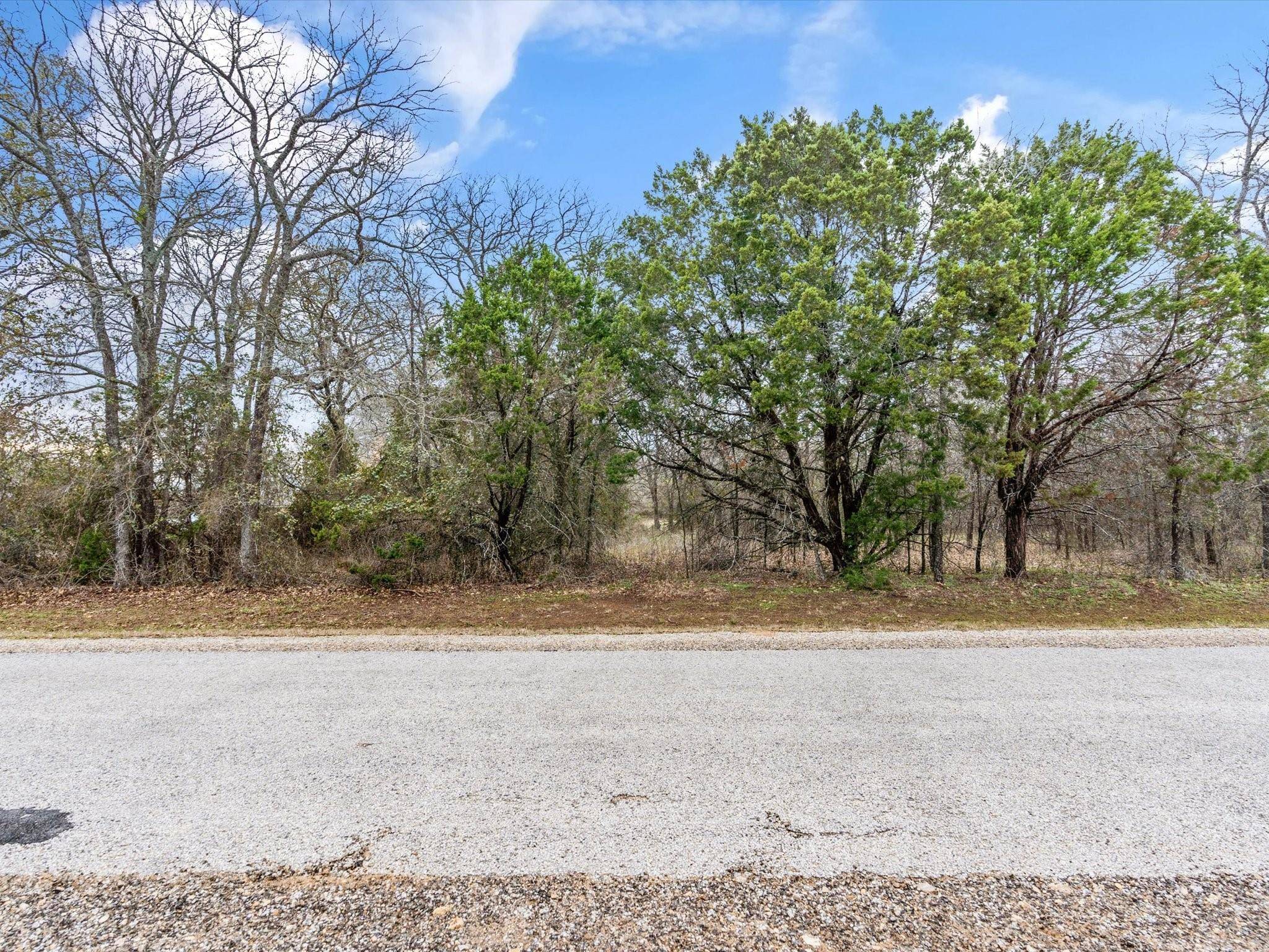 Whitney, TX 76692,1337 Sandrock Trail