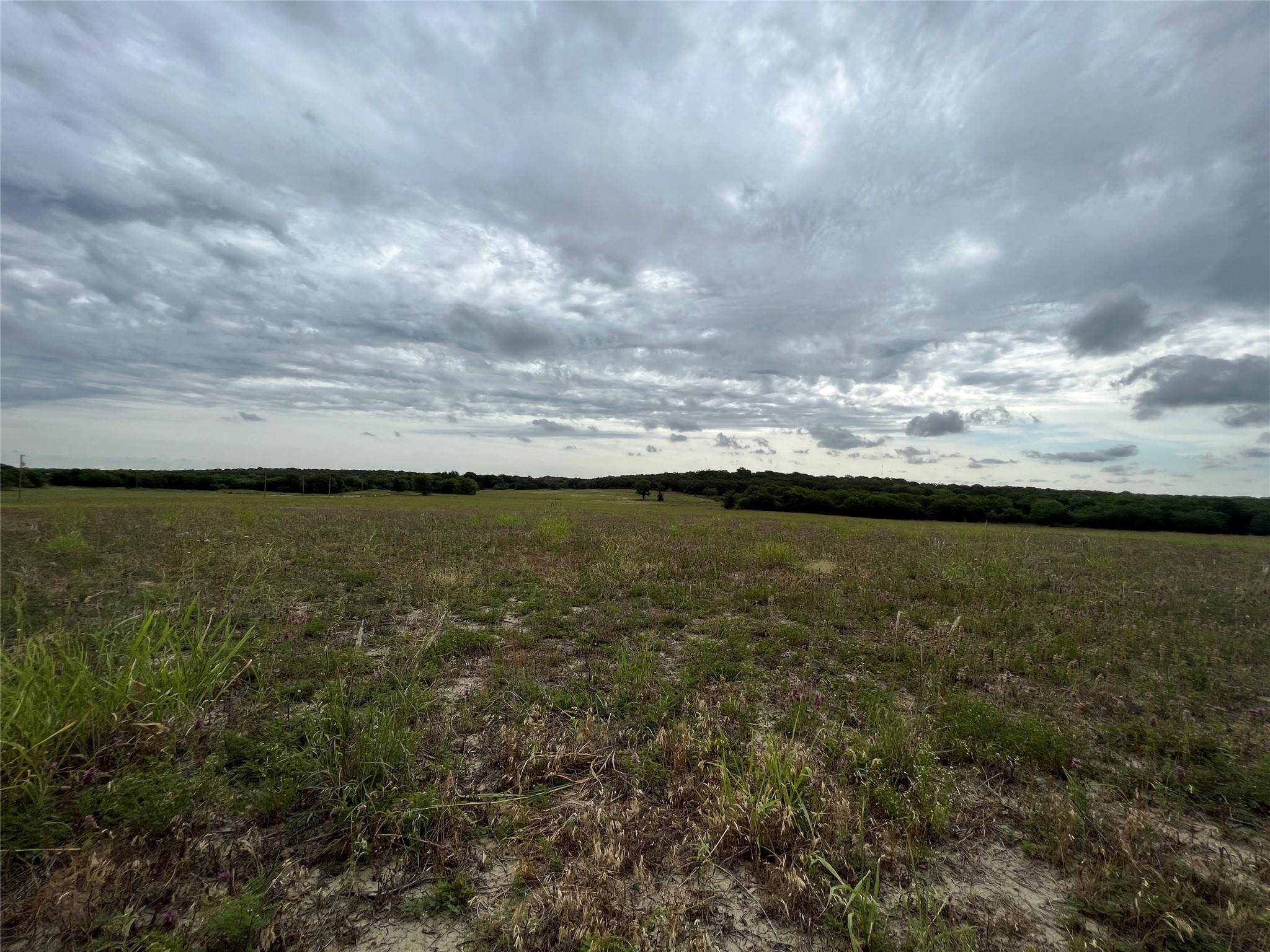 Whitney, TX 76692,TBD Hcr 1248 #1008