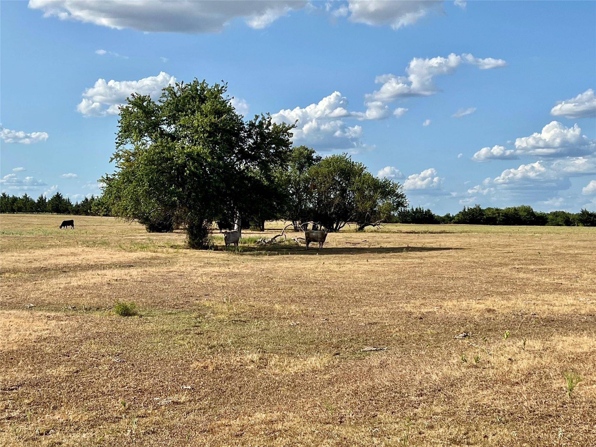 Blossom, TX 75416,Lot 4 CR 15100