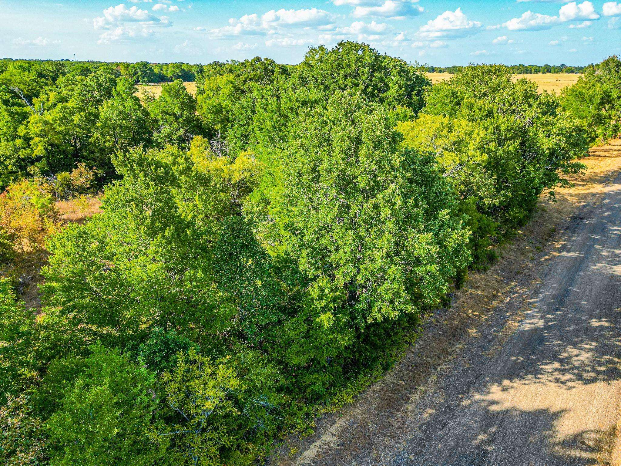 Streetman, TX 75859,TBD County Rd 185